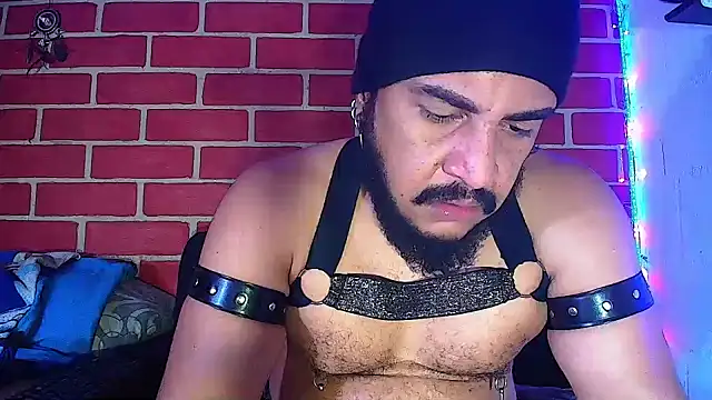 the master foal  online show from January 16, 2025, 4:18 pm