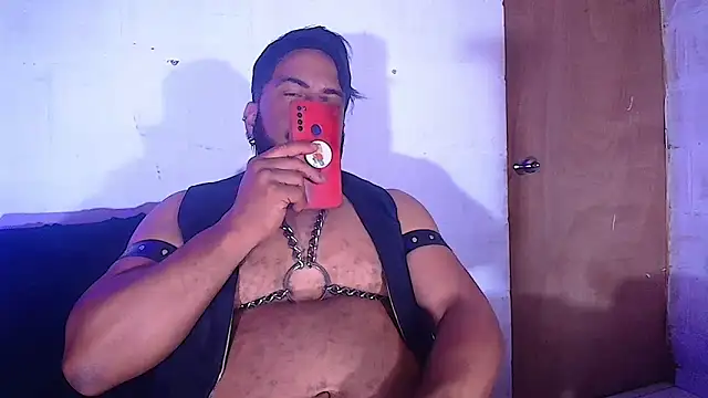 the master foal  online show from February 8, 2025, 8:31 am