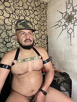 the master foal  online show from March 19, 2026, 5:28 pm