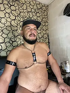 the master foal  online show from April 19, 2026, 7:18 am