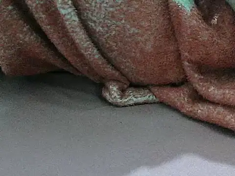 FUN4TIPS online show from March 2, 2025, 6:37 am