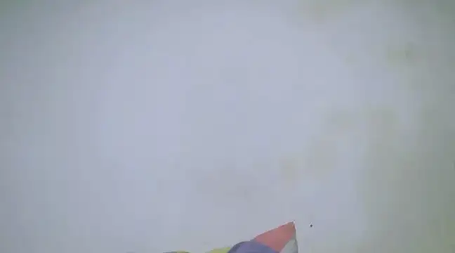 h0ney lips online show from January 28, 2025, 10:23 pm