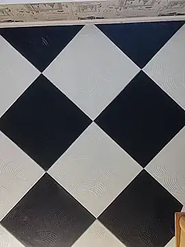 Rini333 online show from March 4, 2026, 8:42 am