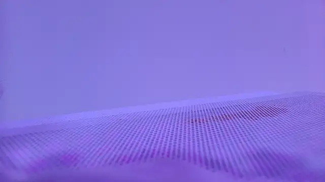 shelsyloreds online show from November 28, 2025, 11:57 am