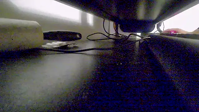 z3phs1337M online show from December 9, 2024, 11:13 pm