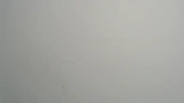 Snapshot of amy_le01 chatting on February 28, 2025, 4:20 pm amy le01 online show from February 28, 2025, 4:20 pm