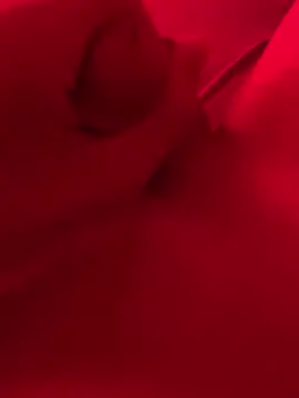 xsanchx online show from March 21, 2025, 11:01 am