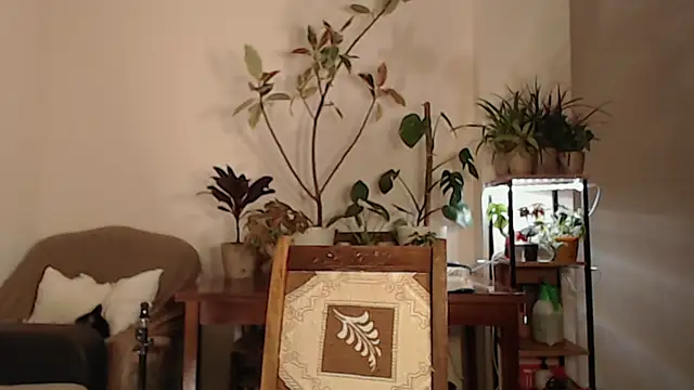 Herman Elfi online show from March 13, 2025, 11:16 pm