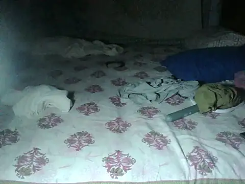 Sexyrkv91 online show from December 3, 2025, 5:11 pm