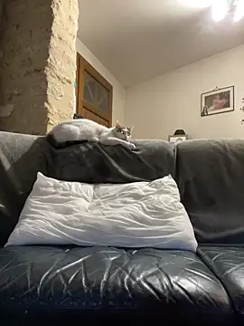 Snapshot of steph19x5 chatting on March 14, 2026, 6:19 am steph19x5 online show from March 14, 2026, 6:19 am