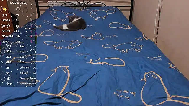 eva zero online show from February 8, 2026, 2:09 pm