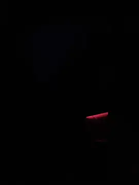 dingoding online show from January 14, 2025, 2:50 am