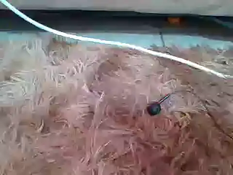 Snapshot of sexyjanett chatting on March 11, 2025, 9:13 am sexyjanett online show from March 11, 2025, 9:13 am