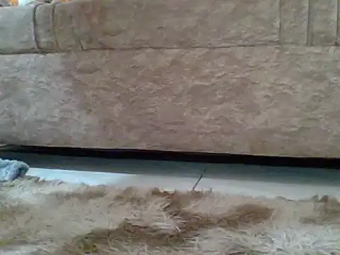 Snapshot of sexyjanett chatting on March 19, 2025, 4:24 pm sexyjanett online show from March 19, 2025, 4:24 pm