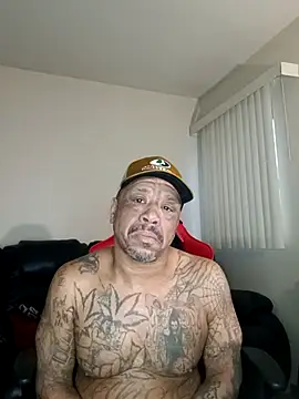 yellowwetfox online show from February 3, 2026, 2:22 pm