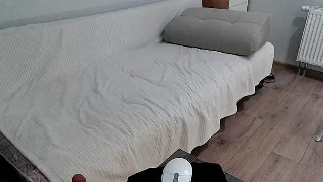 increible della online show from December 13, 2024, 7:43 pm