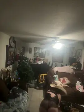 Cataleia21 online show from December 18, 2025, 12:22 pm