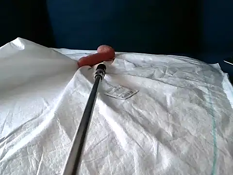 Snapshot of Simon-tem chatting on February 24, 2025, 5:09 pm Simon-tem online show from February 24, 2025, 5:09 pm