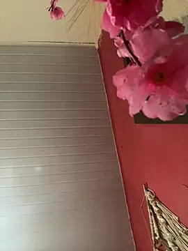 pimenta gaby online show from April 17, 2026, 3:37 pm