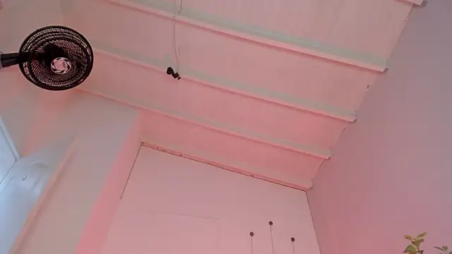 swt-booty online show from November 19, 2025, 6:52 pm