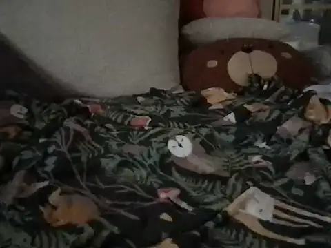 Snapshot of Perwers_41 chatting on November 2, 2025, 2:19 pm Perwers 41 online show from November 2, 2025, 2:19 pm