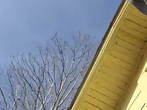 highstepper500 online show from December 25, 2024, 11:10 pm