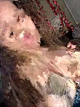 Var Kiss online show from April 21, 2026, 5:14 am