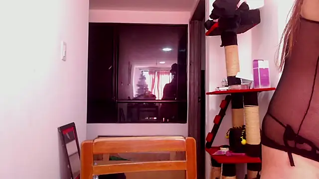 karinasodi 1 online show from December 3, 2025, 8:07 pm