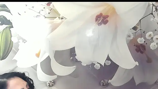 SweetArtemis online show from February 23, 2025, 11:04 pm