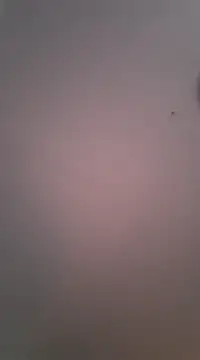 Maxmusterman20023 online show from January 18, 2025, 1:41 am