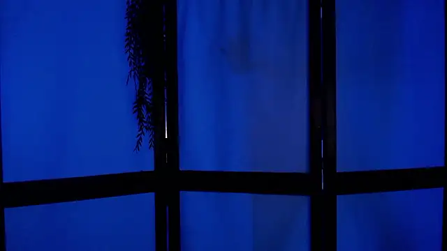 Snapshot of Wildorchid_ chatting on December 2, 2024, 4:53 am Wildorchid online show from December 2, 2024, 4:53 am