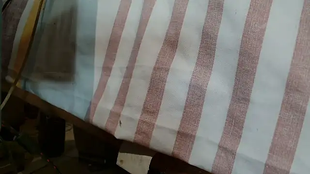 Vanessa117 online show from January 10, 2026, 6:31 pm