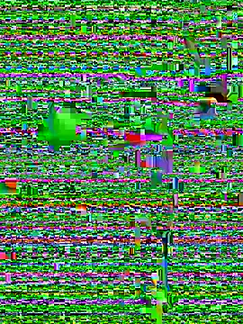 eva six online show from December 20, 2024, 6:45 pm