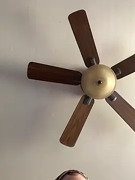 QueenNuttCollector online show from April 12, 2026, 6:13 pm