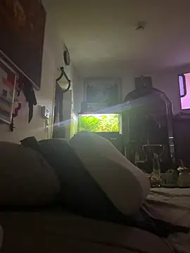 Toyjungee online show from January 12, 2026, 8:08 am