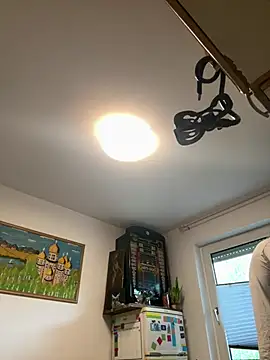 Toyjungee online show from June 11, 2026, 4:38 pm