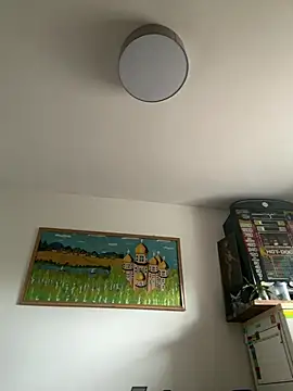Toyjungee online show from July 6, 2026, 7:38 am