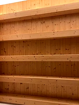 Fellix online show from November 17, 2025, 8:42 am