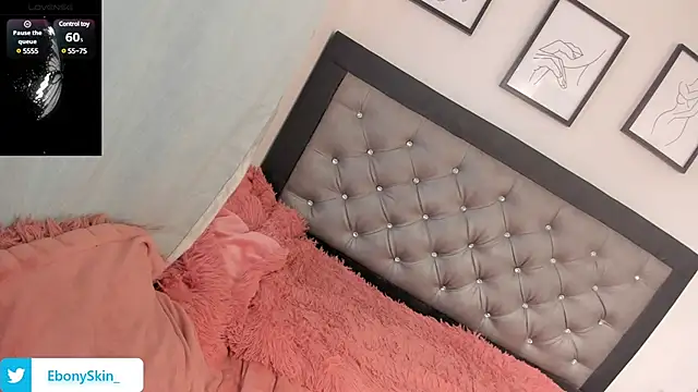 EbonySkin online show from February 12, 2025, 9:11 pm