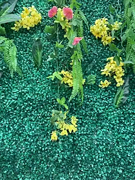 LiaVillalobos online show from April 18, 2026, 9:15 pm