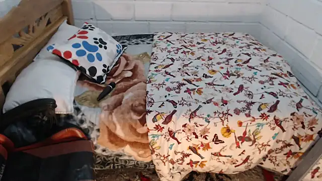 sexyjustin202 online show from December 19, 2025, 9:55 pm