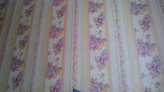 Skills  online show from December 5, 2024, 5:26 am