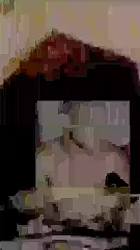 Happypotplants online show from December 23, 2025, 2:53 am