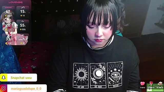 litlle cat online show from September 23, 2025, 7:00 am