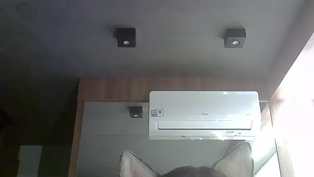 Skinny-Kitten online show from October 4, 2025, 12:30 am