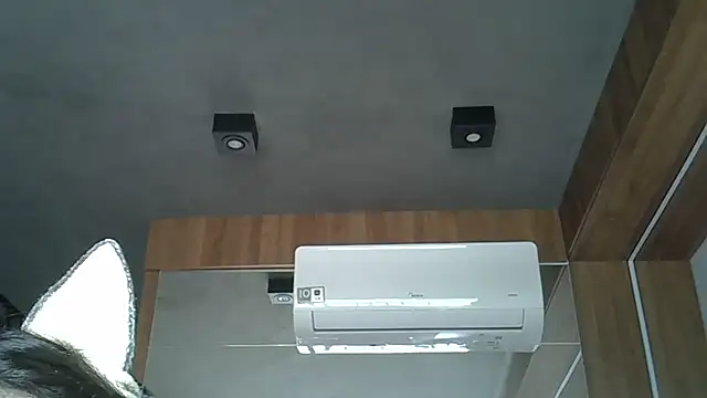 Skinny-Kitten online show from October 9, 2025, 12:36 pm