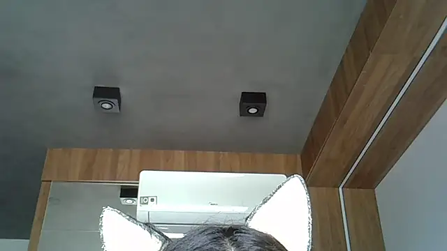 Skinny-Kitten online show from October 12, 2025, 2:27 pm