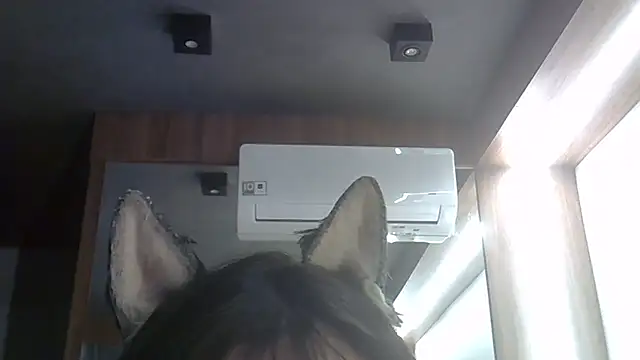 Skinny-Kitten online show from February 5, 2026, 9:41 pm