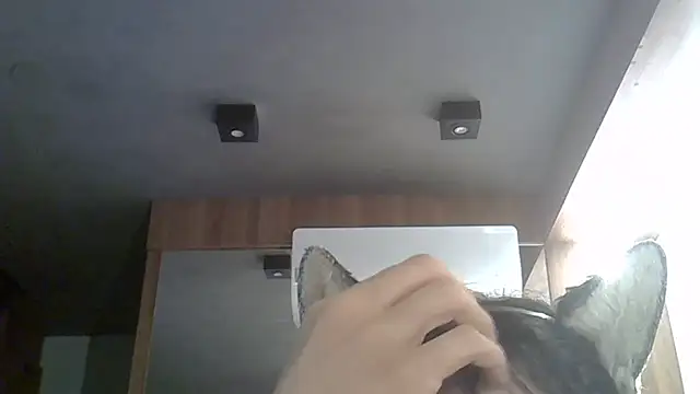 Skinny-Kitten online show from February 17, 2026, 1:35 am