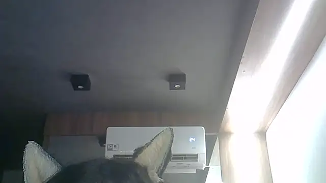 Skinny-Kitten online show from April 1, 2026, 8:04 am